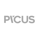 Pycus_grey